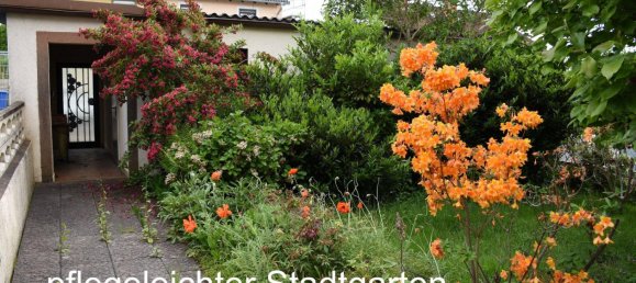 6-Zimmer Stadthaus in Pirmasens, Germany, Nr. 345879 2