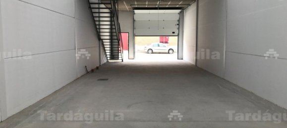 Склад 180м² в Вильярес-де-ла-Рейна, Испания № 70168 7