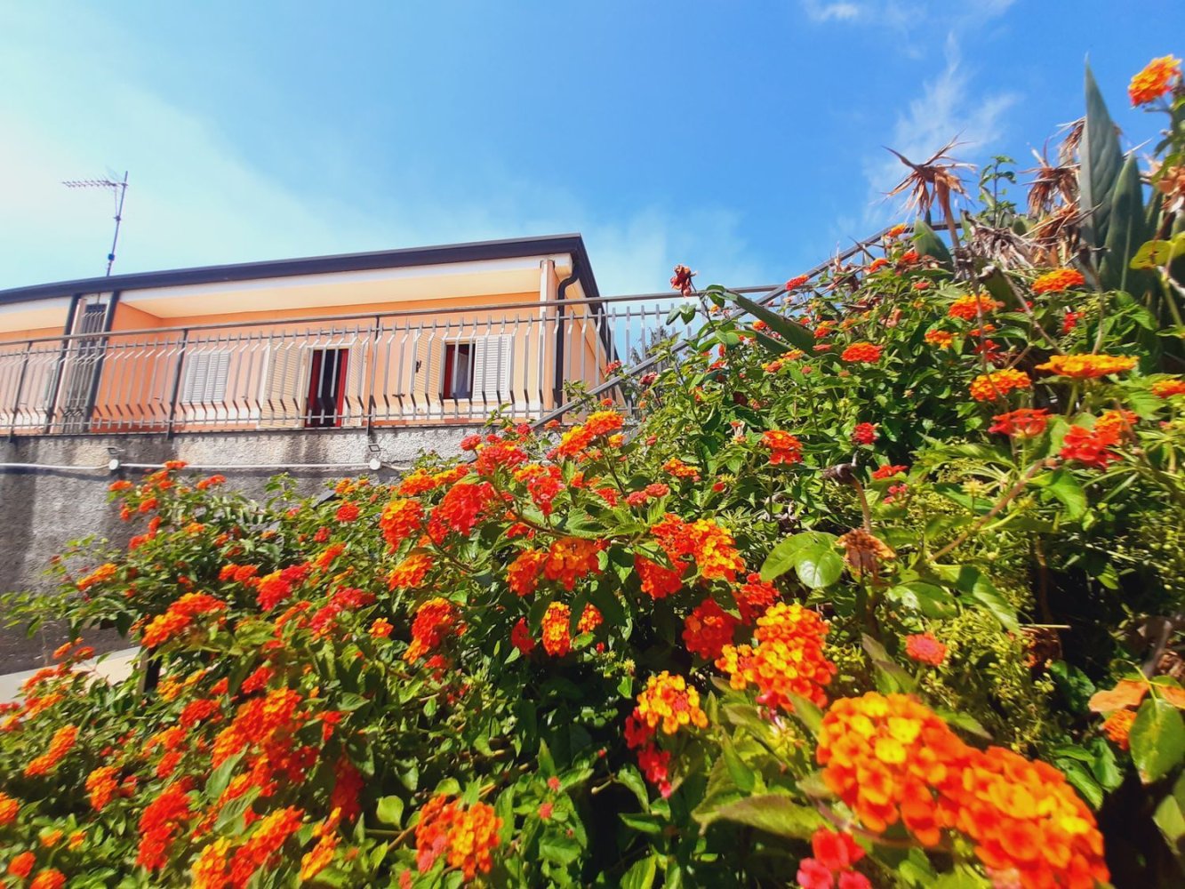 4 Schlafzimmer Haus in Zafferana Etnea, Italy, Nr. 396386