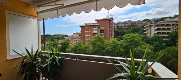 2-Zimmer Wohnung in Genoa, Italy, Nr. 296698 20