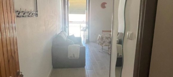 Studio in Santa Maria del Cedro, Italy No. 255316 3