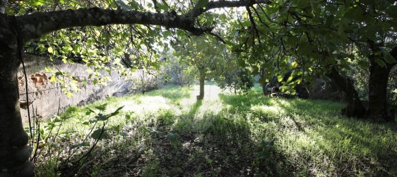 Casa de 3 dormitorios en Mouriscas, Portugal No. 171982 5