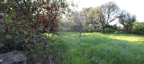 Casa de 3 dormitorios en Mouriscas, Portugal No. 171982 9