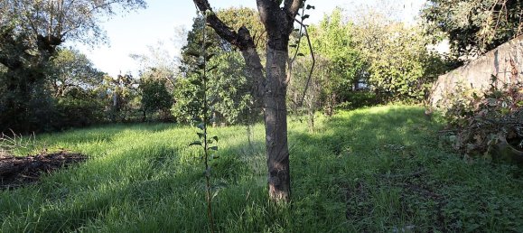 Casa de 3 dormitorios en Mouriscas, Portugal No. 171982 10