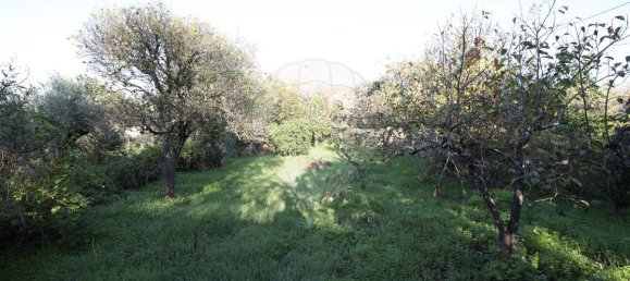 Casa de 3 dormitorios en Mouriscas, Portugal No. 171982 6