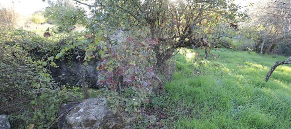 Casa de 3 dormitorios en Mouriscas, Portugal No. 171982 8
