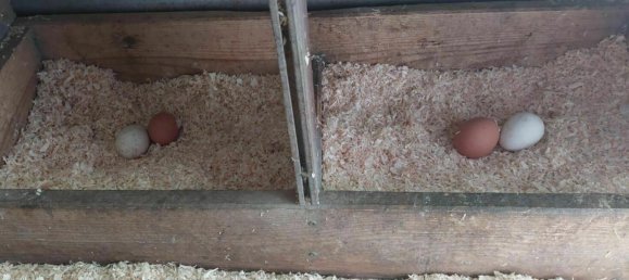 8غرفة منزل في Kapfenstein, Austria رقم 193078 28