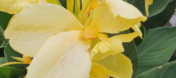 8غرفة منزل في Kapfenstein, Austria رقم 193078 29