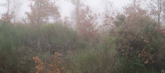 4 rooms Apartment in Greve in Chianti, Italy No. 375685 6