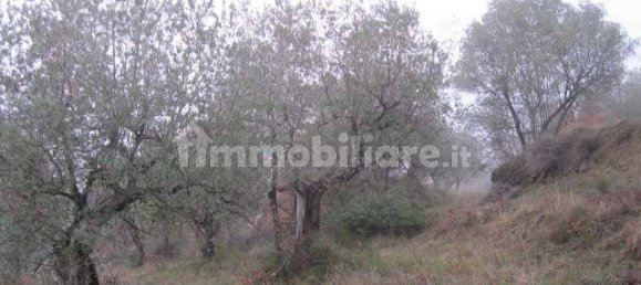 4 rooms Apartment in Greve in Chianti, Italy No. 375685 4