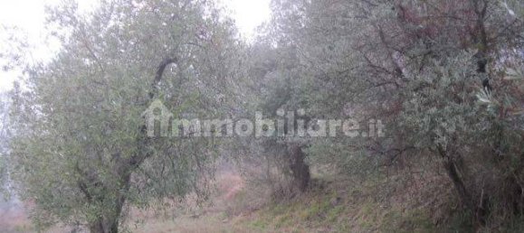 4 rooms Apartment in Greve in Chianti, Italy No. 375685 8