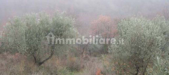 4 rooms Apartment in Greve in Chianti, Italy No. 375685 5