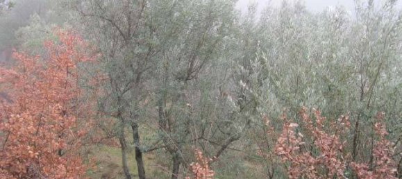 4 rooms Apartment in Greve in Chianti, Italy No. 375685 9