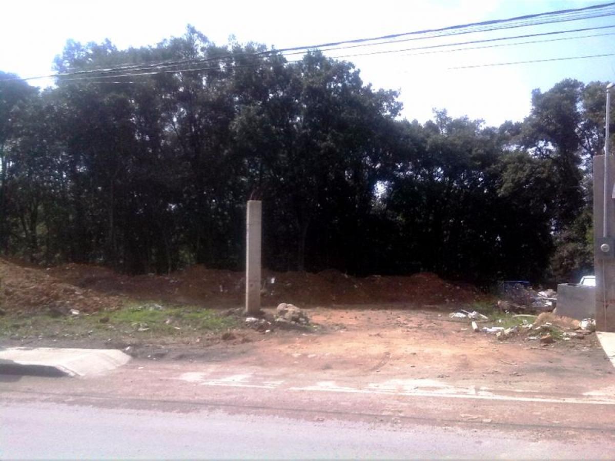 Grundstück in Mexico, Nr. 202648