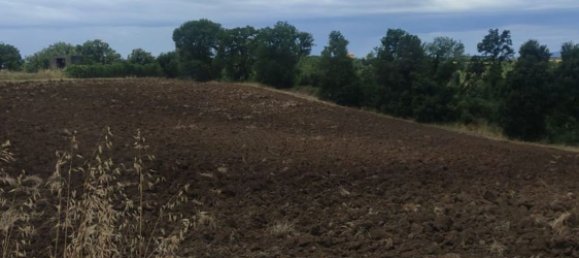 Grundstück in Cerveteri, Italy 9350m², Nr. 91192 2