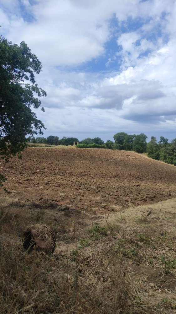 Grundstück in Cerveteri, Italy 9350m², Nr. 91192