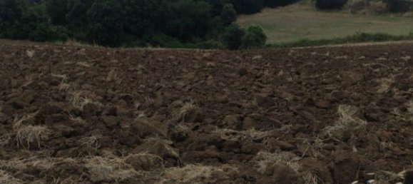 Grundstück in Cerveteri, Italy 9350m², Nr. 91192 3