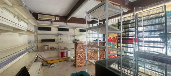 Studio à Alba Adriatica, Italy No. 161592 7