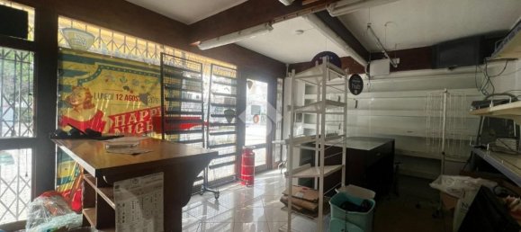 Studio à Alba Adriatica, Italy No. 161592 2