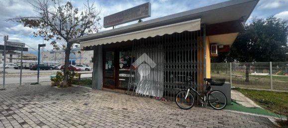 Studio à Alba Adriatica, Italy No. 161592 16