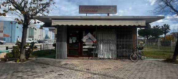 Studio à Alba Adriatica, Italy No. 161592 8