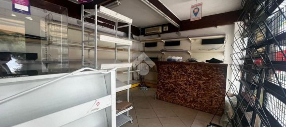 Studio à Alba Adriatica, Italy No. 161592 6