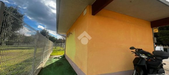 Studio à Alba Adriatica, Italy No. 161592 11