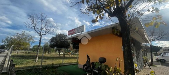 Studio à Alba Adriatica, Italy No. 161592 10