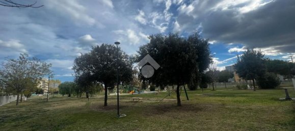 Studio à Alba Adriatica, Italy No. 161592 13