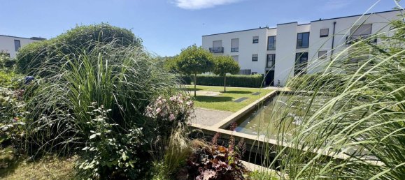 1 chambre Appartement à Ortenaukreis, Germany No. 53194 15