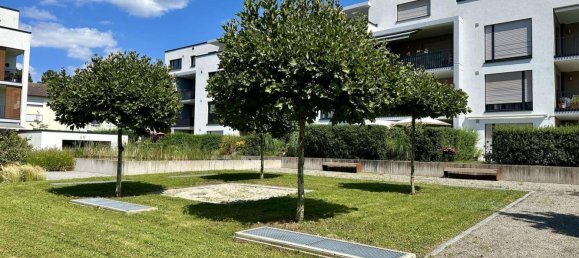 1 chambre Appartement à Ortenaukreis, Germany No. 53194 18