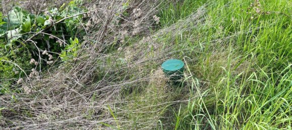 Terrain à Bad Sauerbrunn, Austria 1032m² No. 166316 2