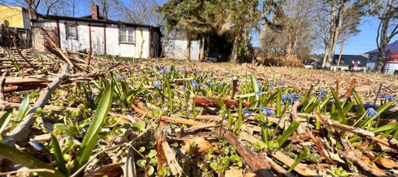  قطعة أرض في Oberhavel, Germany رقم 55483 2