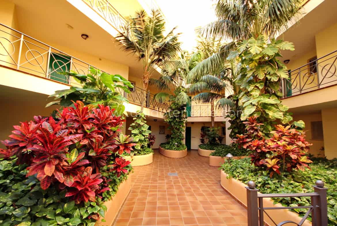 3 غرف نوم بانتهاوس في Arona, Spain رقم 81453