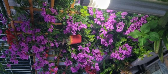 Дом с 3 комнатами в Агрополи, Италия № 252146 9