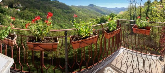 11 rooms Villa in Davagna, Italy No. 164371 18