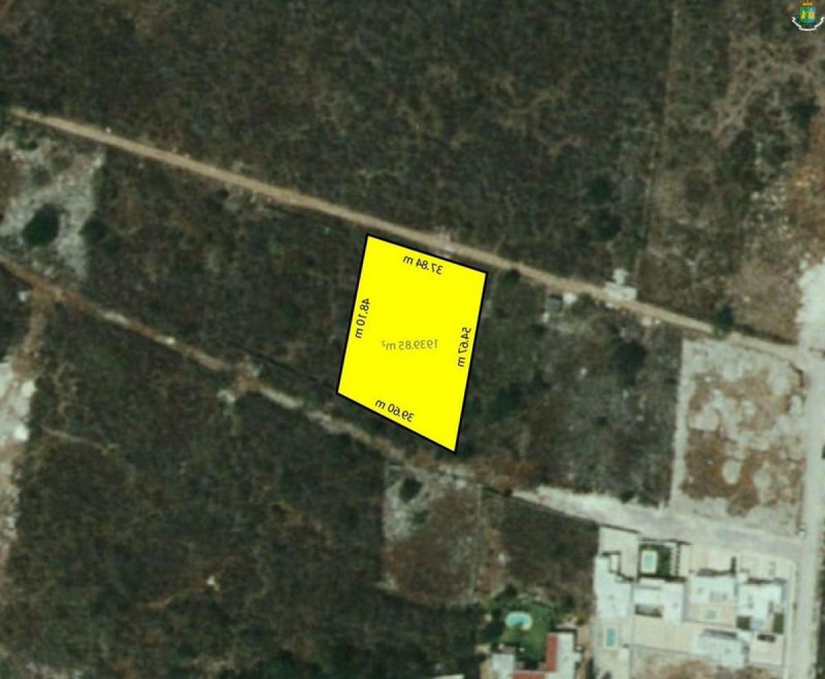 Grundstück in Merida, Mexico, Nr. 115637