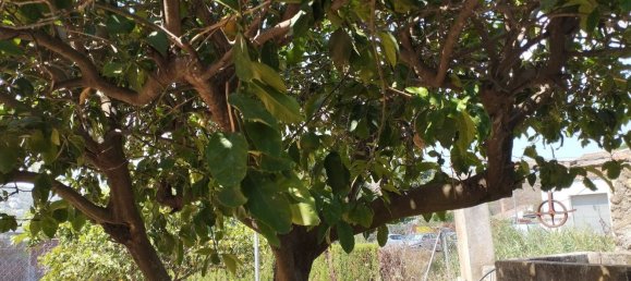 4 Schlafzimmer Haus in Calonge, Spain, Nr. 186633 13