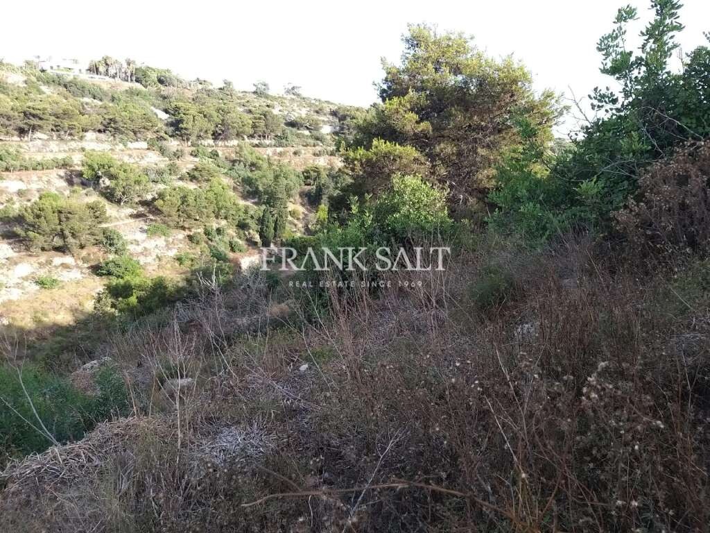 Terrain à Swieqi, Malta 24000m² No. 13293