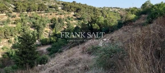 Terrain à Swieqi, Malta 24000m² No. 13293 2