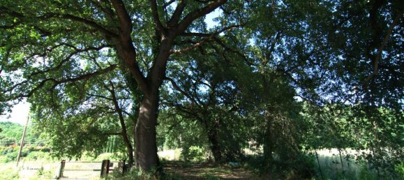 Вилла с 6 комнатами в Коллаццоне, Италия № 149499 4