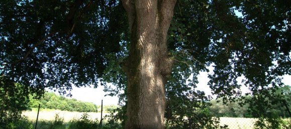 Вилла с 6 комнатами в Коллаццоне, Италия № 149499 5