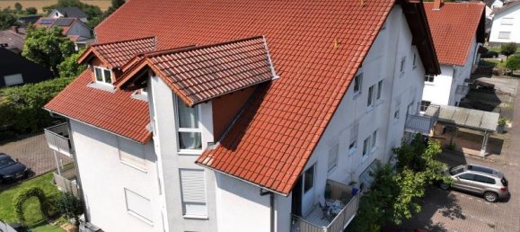 22 rooms House in Rhein-Neckar-Kreis, Germany No. 67060 6