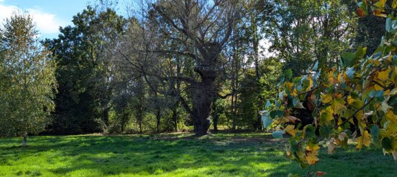 6 bedrooms House in Feusines, France No. 93405 24