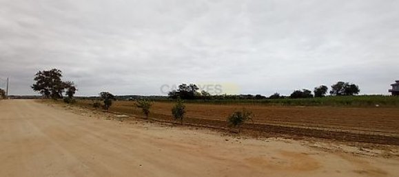 9 Schlafzimmer Haus in Guia, Portugal, Nr. 10090 13