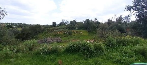 9 Schlafzimmer Haus in Guia, Portugal, Nr. 10090 14