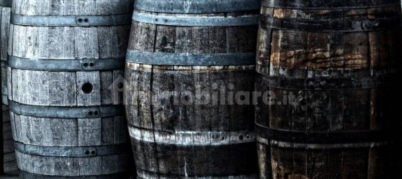 1-Zimmer Gewerbliche Immobilie in Florence, Italy, Nr. 140108 17