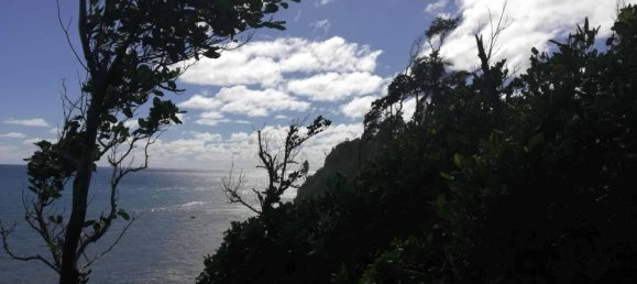 5747m² Hotel in La Plaine, Dominica No. 44 2
