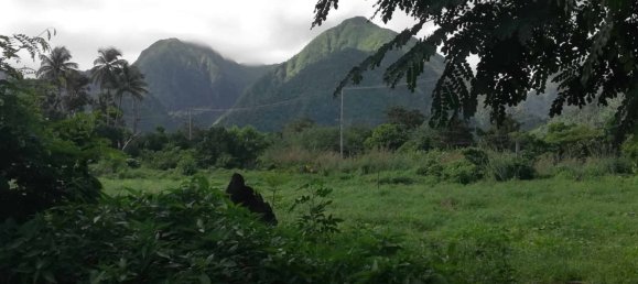 5747m² Hotel in La Plaine, Dominica No. 44 11