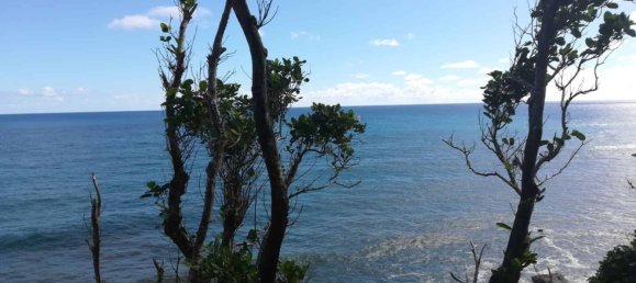 5747m² Hotel in La Plaine, Dominica No. 44 4